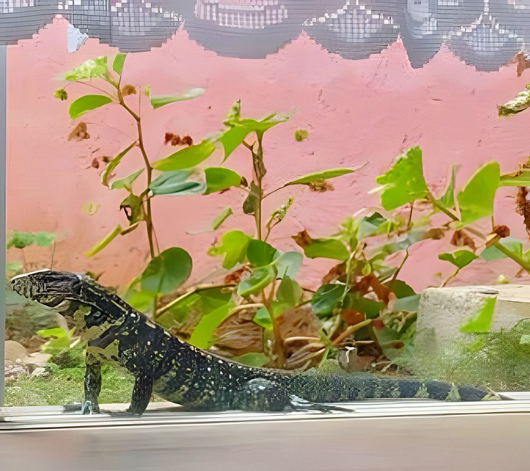 Vacation Nature Confort and Peace