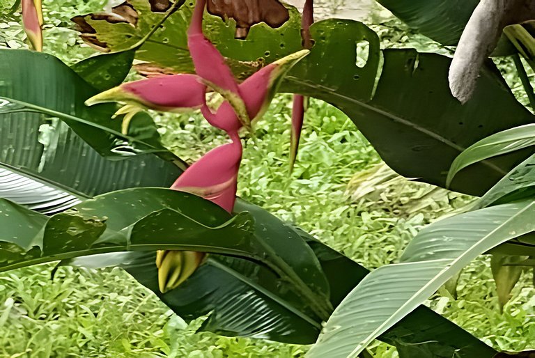 Vacation Nature Confort and Peace