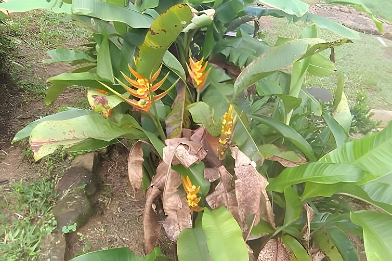 Vacation Nature Confort and Peace