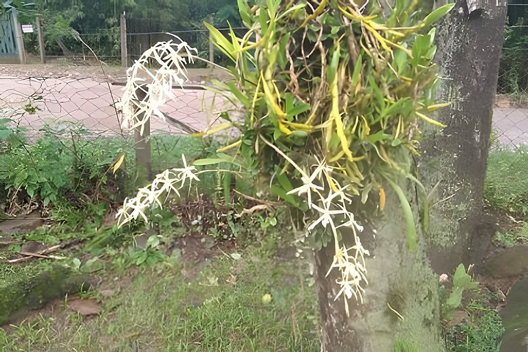 Vacation Nature Confort and Peace