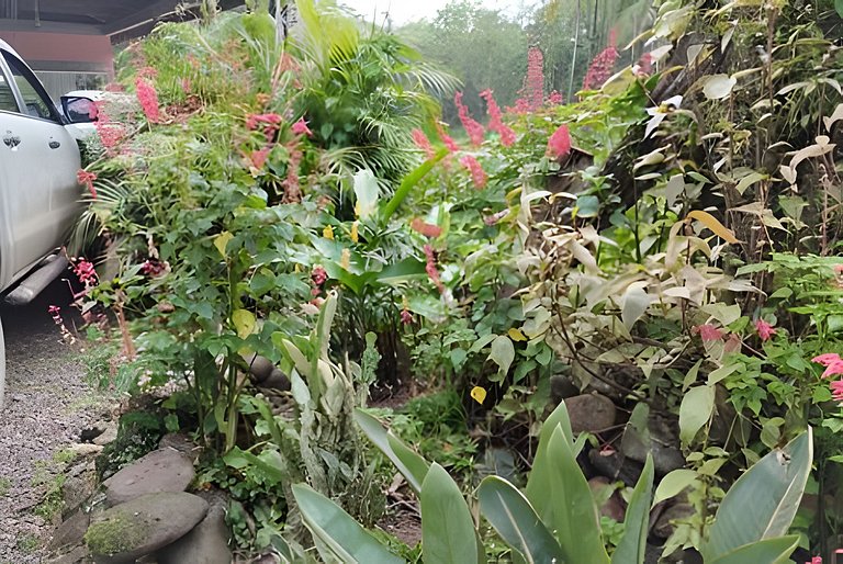 Vacation Nature Confort and Peace