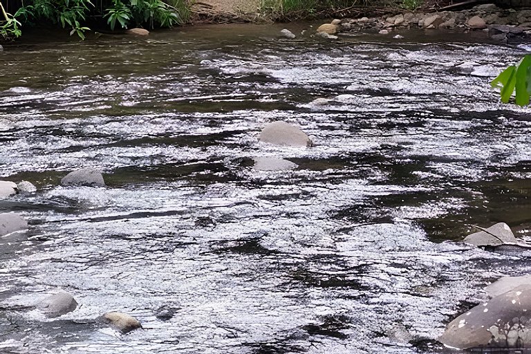 Vacation Nature Confort and Peace