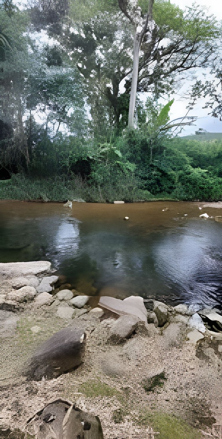 Vacation Nature Confort and Peace