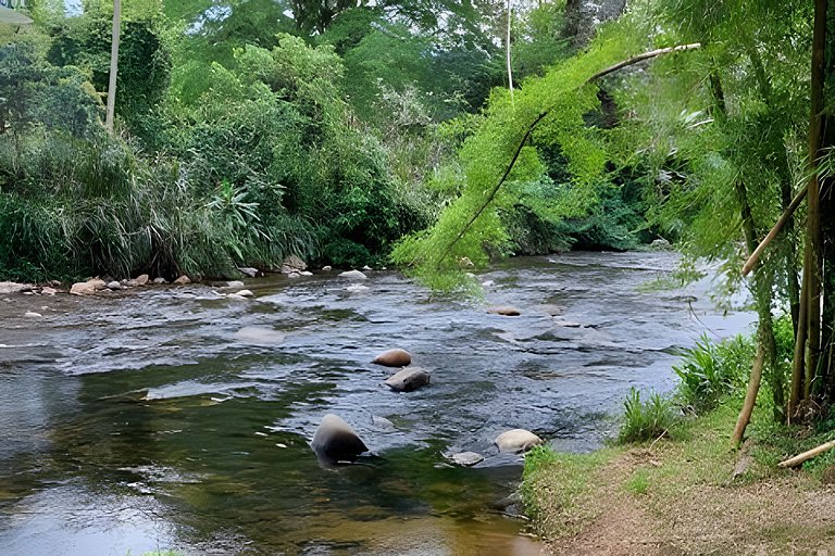 Vacation Nature Confort and Peace