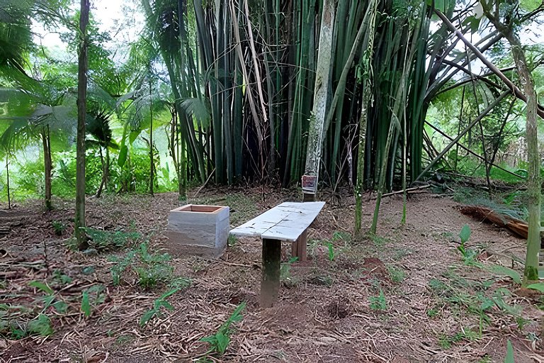 Vacation Nature Confort and Peace