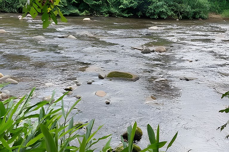 Chácara Morretes Arraial - Piscina e Rio