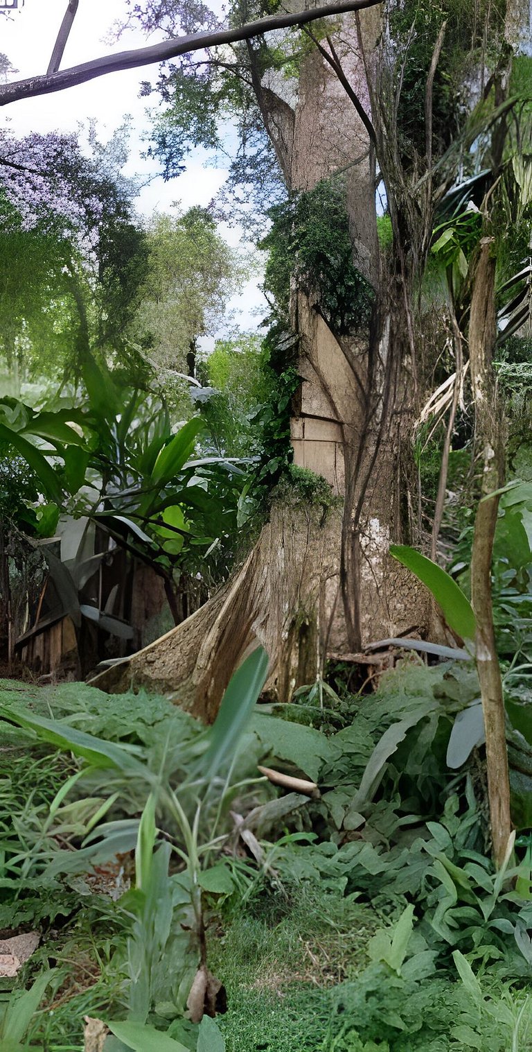 Vacation Nature Confort and Peace